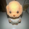 就算是小猫也想吃饭饭's profile picture