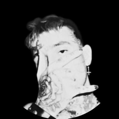 AG 🕊️'s profile picture