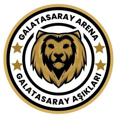 Galatasaray Arena's profile picture
