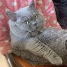 jzc1 profil fotoğrafı