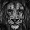 Profilbild von Haych