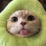Profilbild von ᡣ𐭩