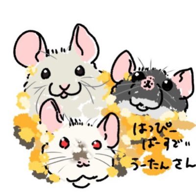 うーたんの生き物用垢's profile picture