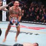 Knockout_Artist 的头像