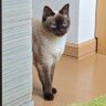 ユズ 的头像