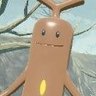 TOTTORINONASI's profile picture