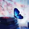 Profilbild von 🦋
