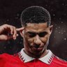 Junaid Williams profil fotoğrafı