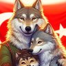 Profilbild von TRK Tarih