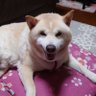 徹's profile picture