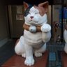 Фото профиля にゃー