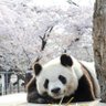 香3 profil fotoğrafı