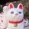 Profilbild von ゅぅぁ🧸