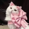 ボムぎゅっ!!【 ami 】's profile picture