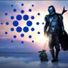 cardanoBoy's profile picture