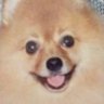 Profilbild von たか