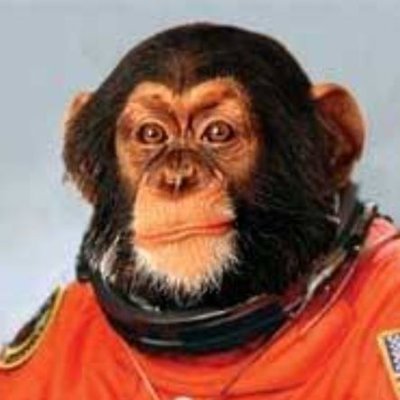 Stamechad1's profile picture