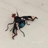 Фото профиля การเดินทางอันแสนไกล