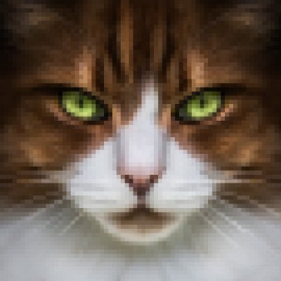 Neil Burnell's profile picture