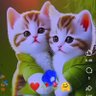 proven data profil fotoğrafı