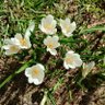 Marisa67 profil fotoğrafı