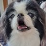 もう's profile picture