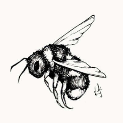0xbeehive's profile picture