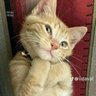 pasketti profil fotoğrafı