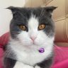 Pati 🐾 profil fotoğrafı