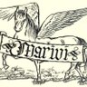 Profilbild von Marivi Merino.
