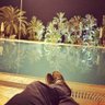 طه profil fotoğrafı
