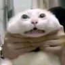 n's profile picture