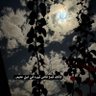 𝓦𝓪𝓪𝓭's profile picture