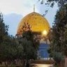Palestine Bright Right™'s profile picture