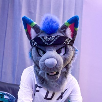 Alex the wolf 🌴's profile picture