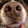 Ammo&Me profil fotoğrafı