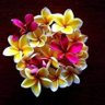 Mara 🇫🇯's profile picture