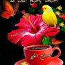عشق الاطلال profil fotoğrafı