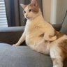 q's profile picture
