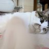 ◯◯ゆき profil fotoğrafı