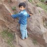 M S ALI's profile picture