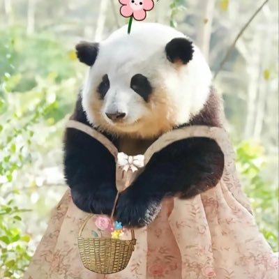 CaolaDefe's profile picture