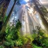 Profilbild von seblak coklat