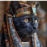Profilbild von Rural Kemet Iqaba