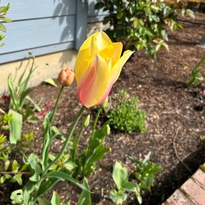 Let_Oregon_Learn's profile picture