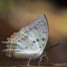 Фото профиля Syedkhaleel Syed