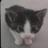 Profilbild von Jay