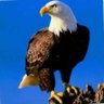 Emmanuel.'s profile picture