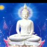 Фото профиля हकमारी के खिलाफ(freedom voice)