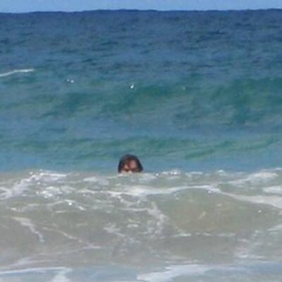 Joshua Stylman's profile picture